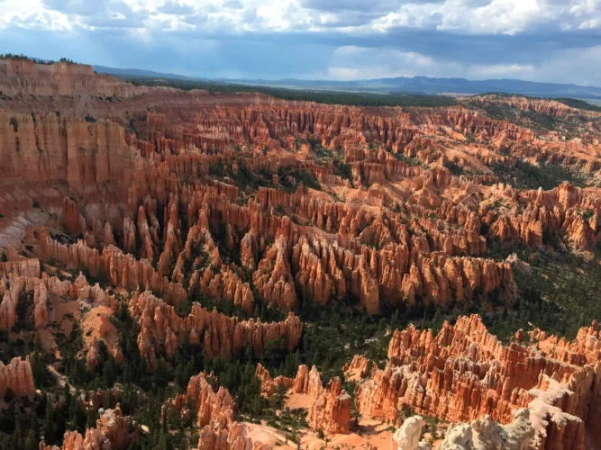 The great American road trip, fueled by — and undercut by — the automobile that created it